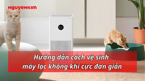 Hướng dẫn vệ sinh máy lọc không khí tại nhà đúng cách định kỳ
